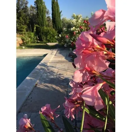 Bella Malini 4* Labin (Istria)